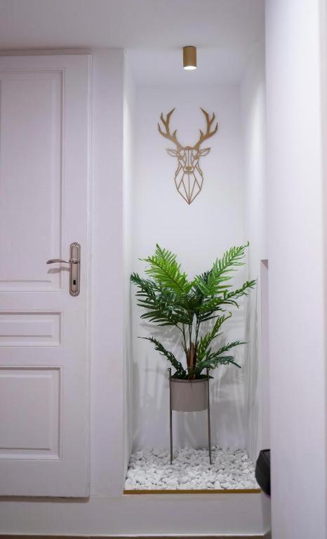 Coban Residence Apartments براشوف المظهر الخارجي الصورة