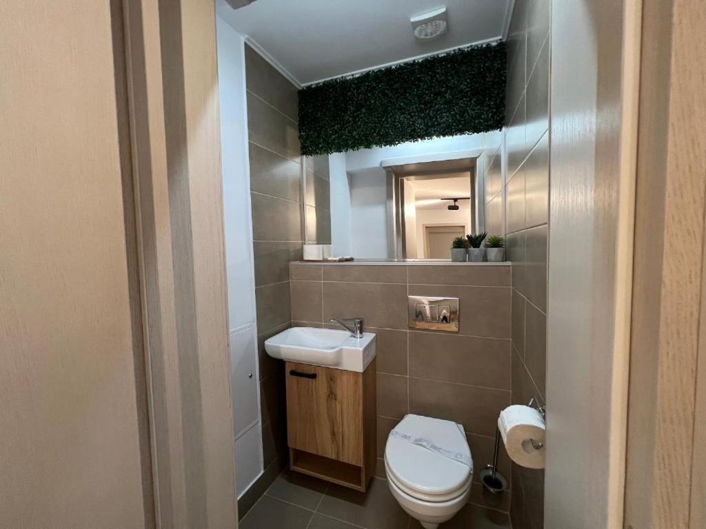 Coban Residence Apartments براشوف المظهر الخارجي الصورة